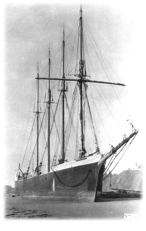 Man and the Sea by Wayne O’Neil